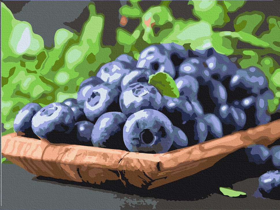 

Картина по номерам. Art Craft "Сочная Элизабет" 40*50 см 12006-AC
