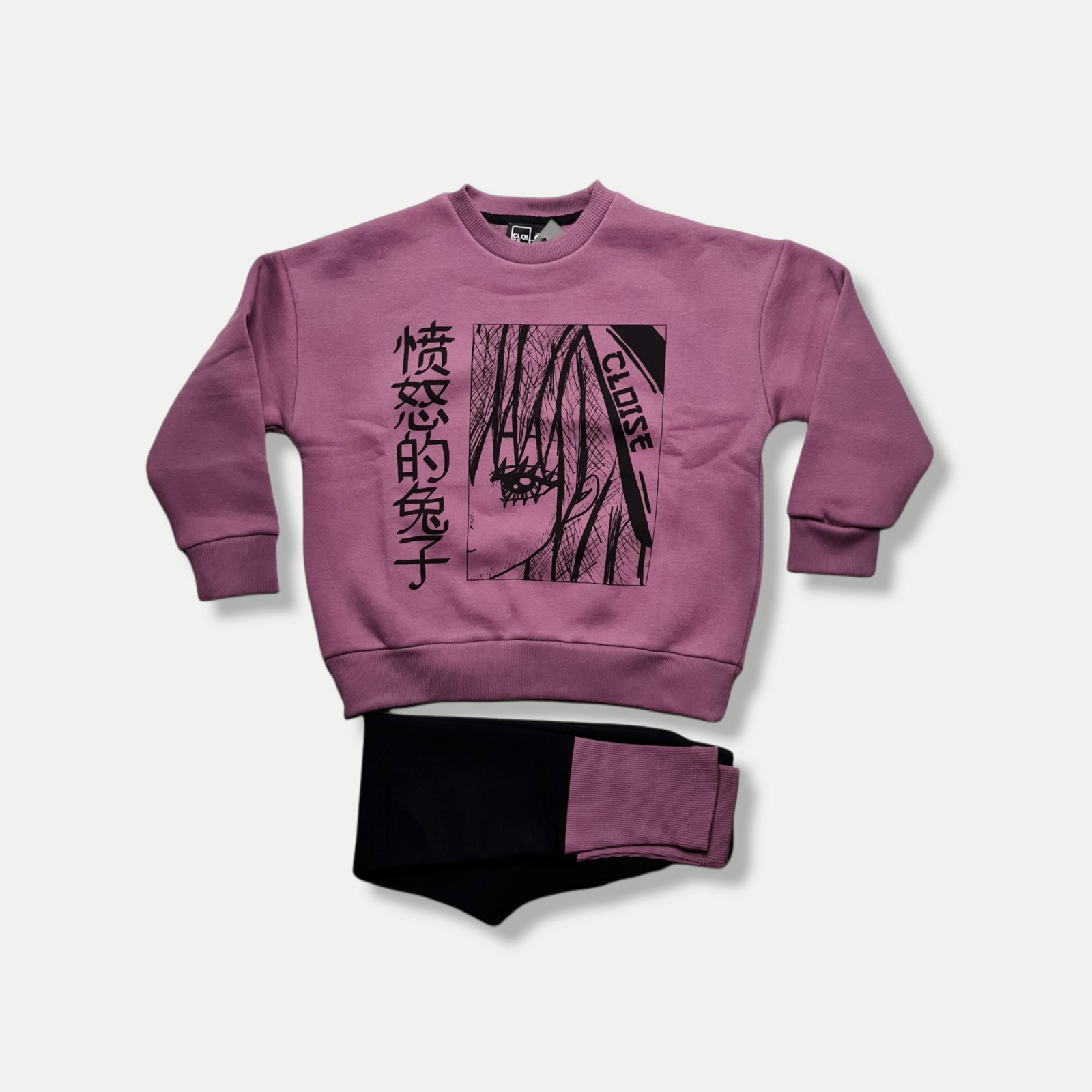 

Свитшот + Лосины Cloise Нежно-фиолетовый 116 см CL0114022-CL0644012 (537401)