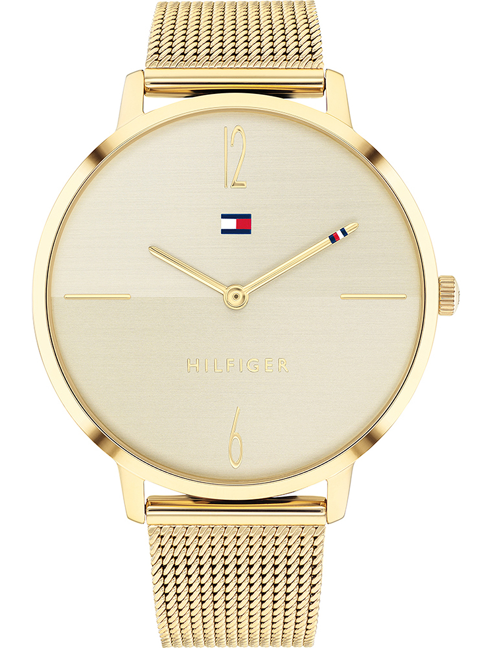 

Женские часы Tommy Hilfiger 1782339