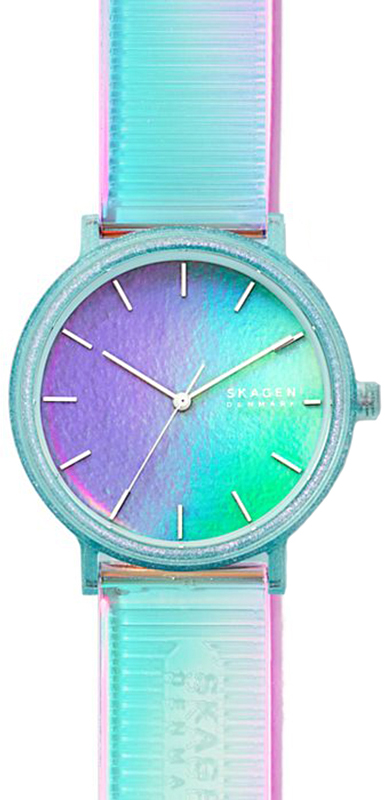 

Мужские Часы Skagen SKW6642