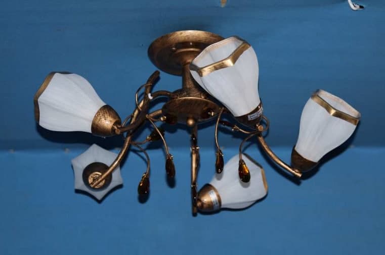 

Люстра с плафонами Ray L90794/5 (GB) (AN004061)