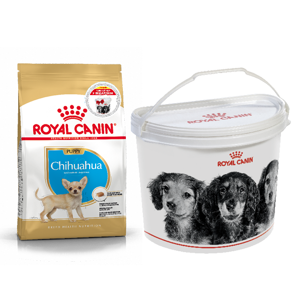 

Сухой корм для собак Royal Canin Chihuahua Puppy 1.5кг + контейнер в подарок