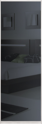 

Дверь (раздвижная система ) Зеркало граффит к шкафу-купе 65 x 225 см