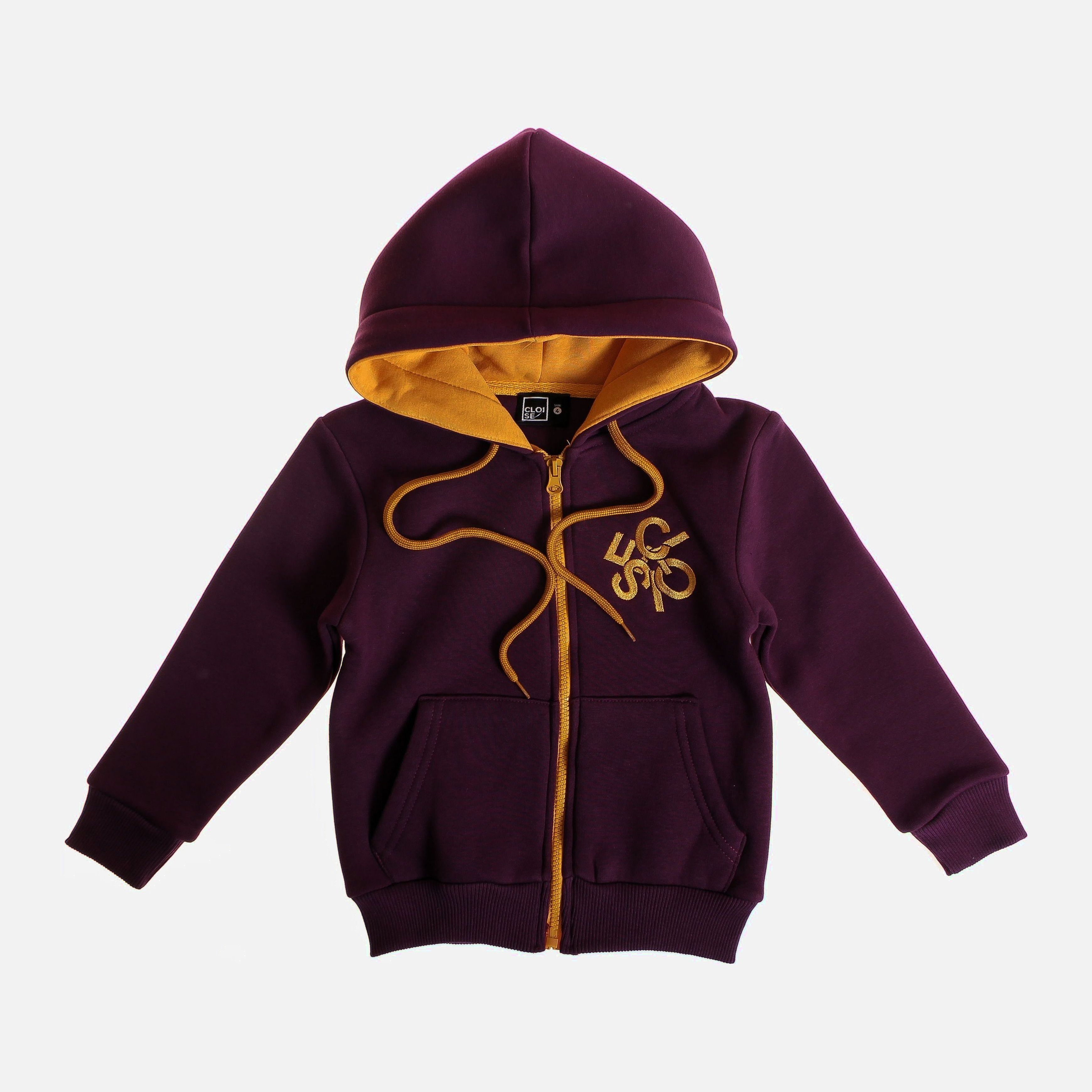 

Толстовка Cloise CL0125001 104 см Темно-сиреневая (0536491000002)