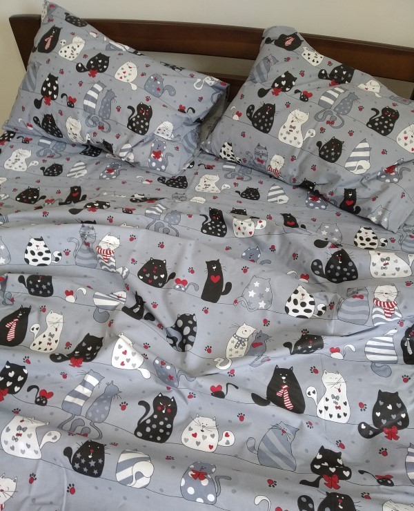 

Комплект постельного белья AV-favorit Бязь Люкс 150*220 Серые котики (b-01019)