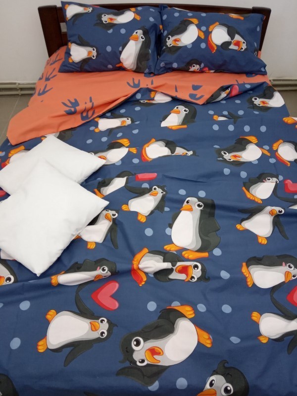 

Комплект постельного белья AV-favorit Бязь Люкс 150*220 Пингвин (b-01095)