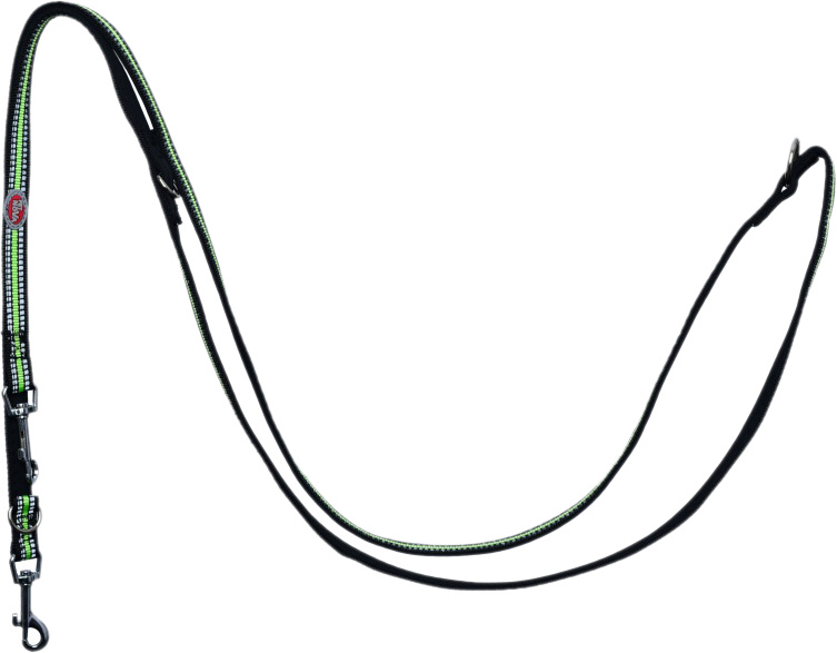 

Поводок регулируемый Pet Nova Adjust S 1.5x240 см Черный-зелёный (L-NEO-ADJUST-REFBLACK-S)