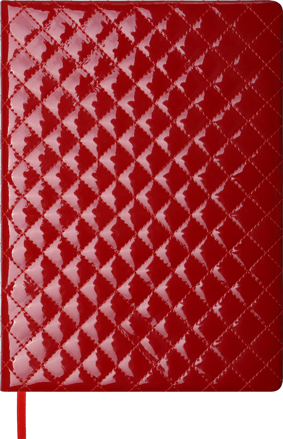 

Дневник датированный Buromax Donna 2022 A4 336 страниц красный (BM.2742-05)