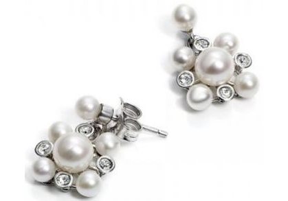 

Серьги Viceroy jewelry 1105E000-60
