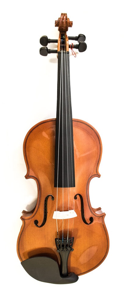 

Скрипка MAXTONE TV1/2A LL