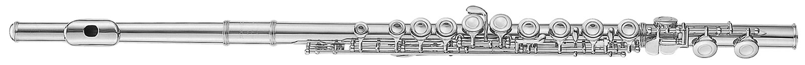 

Флейта J.MICHAEL FL-300S