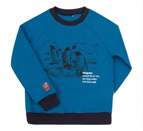 

Джемпер трикотаж Bembi ДЖ258 140 Бірюзовий