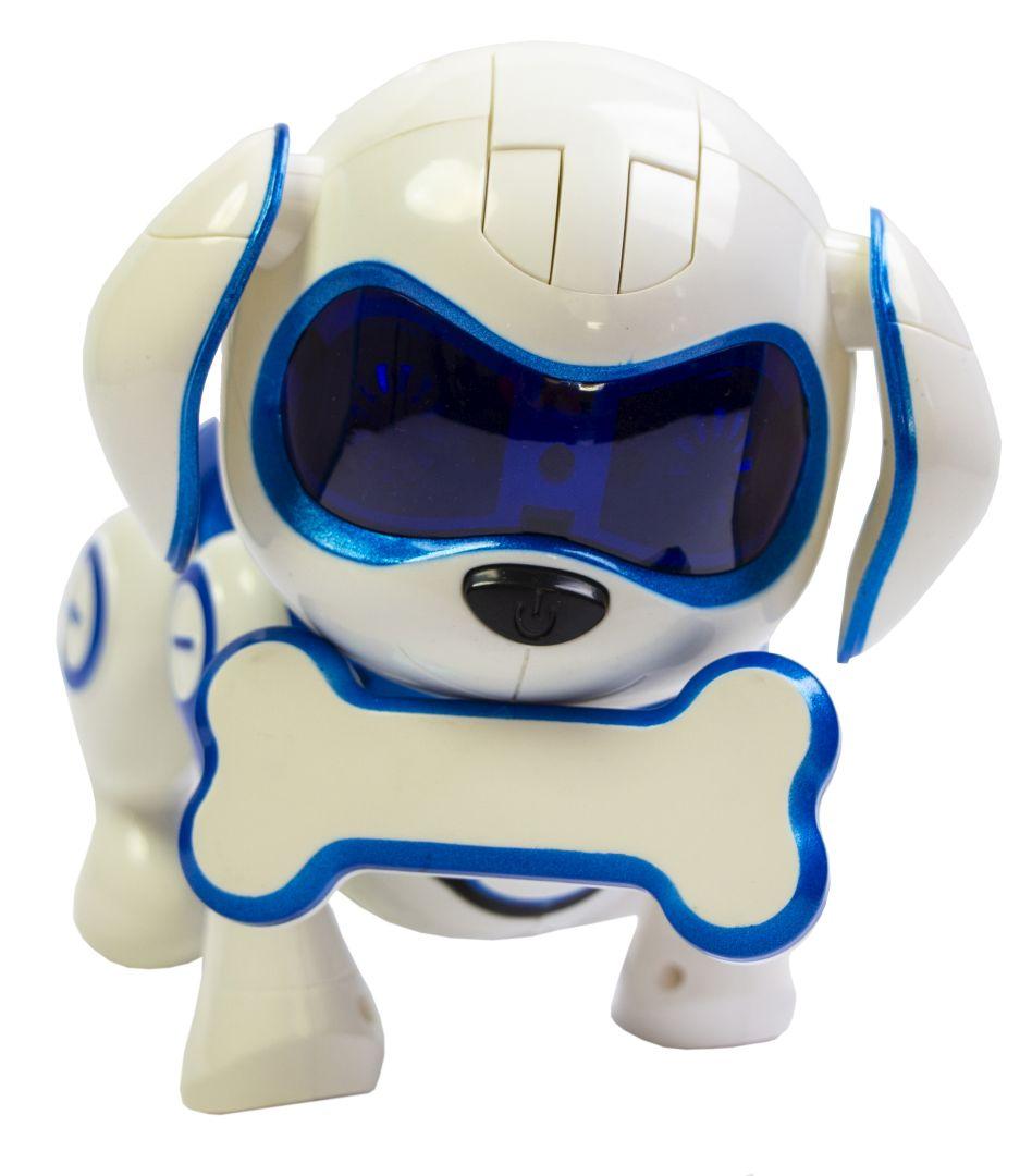 Rock store robot dog