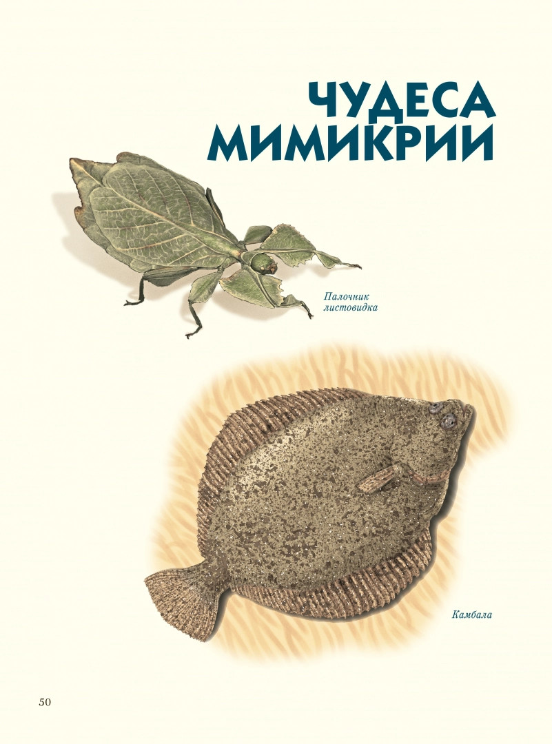 

Самые-самые. Животные рекордсмены (18423864)