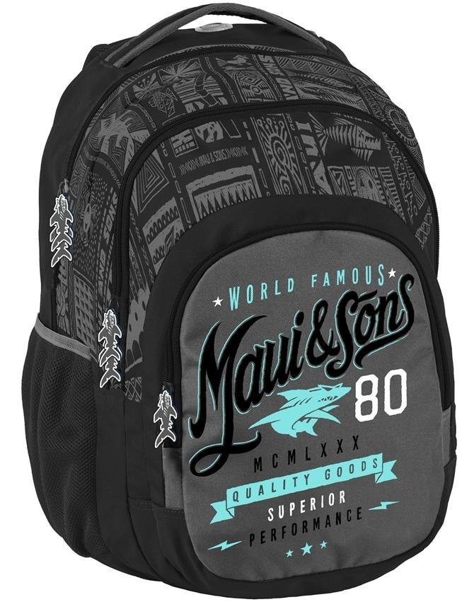 

Молодежный рюкзак Paso MAUA-2706
