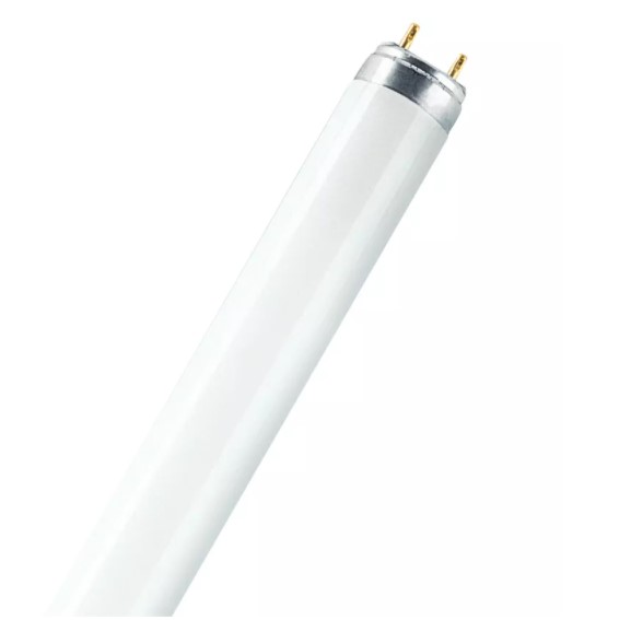 

Люминесцентная лампа Osram L 30W/77 G13 T8 Fluora (4050300003238)