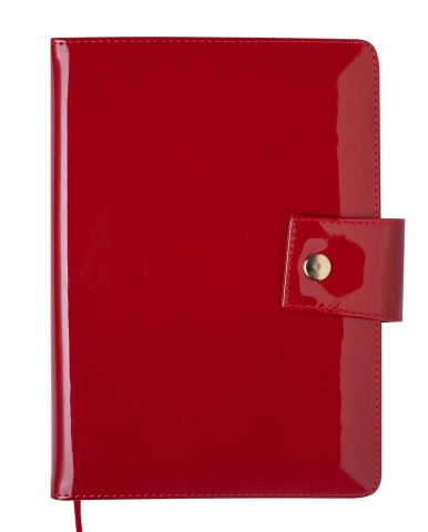 

Ежедневник датированный DREAM, A5, красный, BM.2145-05