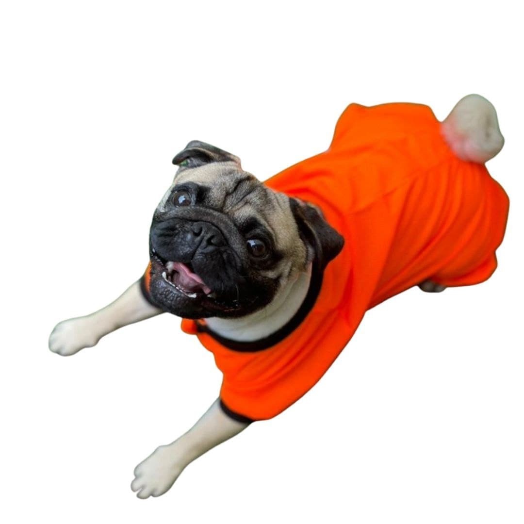 

Сетка Orange Летняя Для Собак Оранжевая XXS (2)