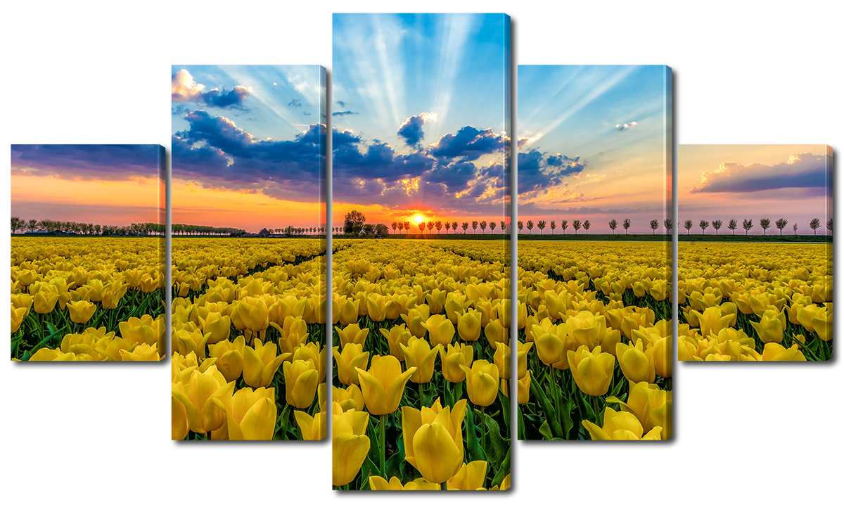 

Модульная картина Interno Эко кожа Тюльпаны на закате 123х69см