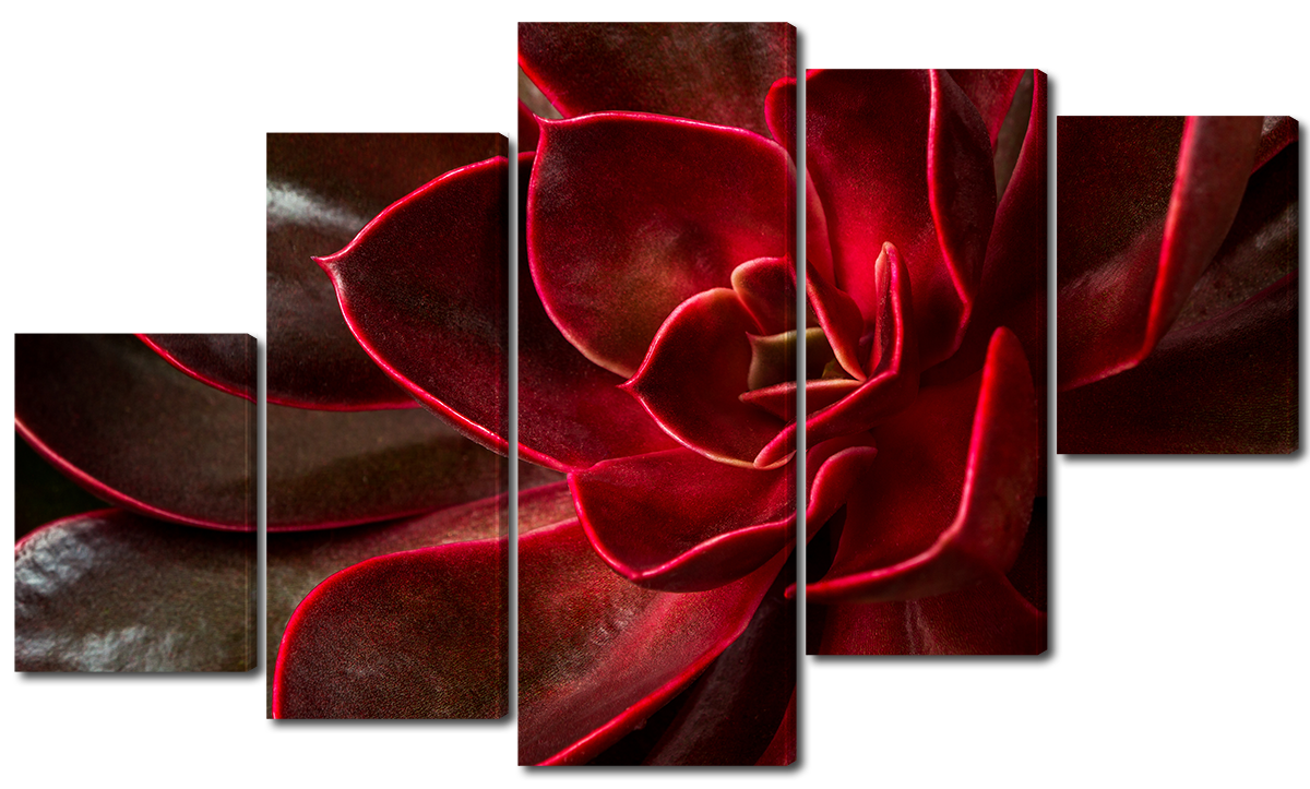 

Модульная картина Interno Холст Цветок красный 108х60см