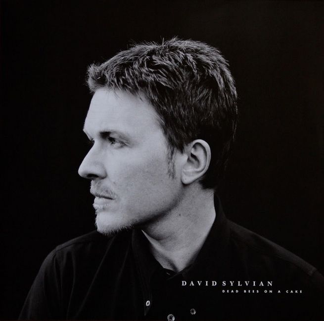 

David Sylvian – Dead Bees On A Cake (Vinyl) (0602567152439)