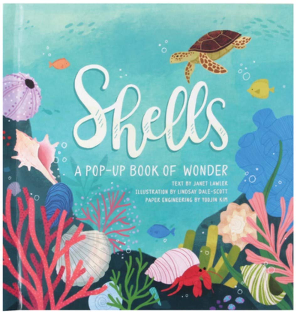 

Jumping Jack Press Shells: A Pop-Up Book of Wonder