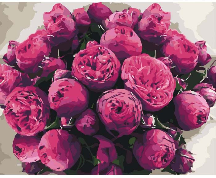 

Картина по номерам Art Craft "Загадочные пионы" 40*50 см 13102-AC-RY