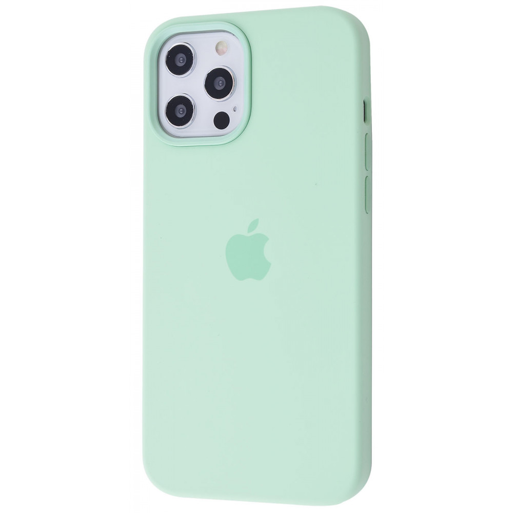 

Чехол-накладка с мягкой подкладкой с защитой камеры с поддержкой magsafe PRC Silicone Case with MagSafe iPhone 12 Pro Max pistachio Зеленый