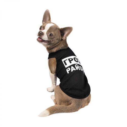 

Борцовка для собак Гроза району XS-2 Pet Fashion BGL-PF-1392
