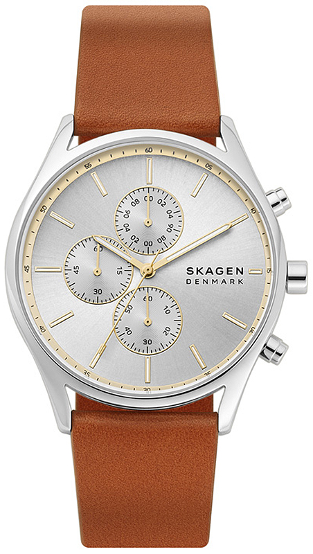 

Часы Skagen SKW6607