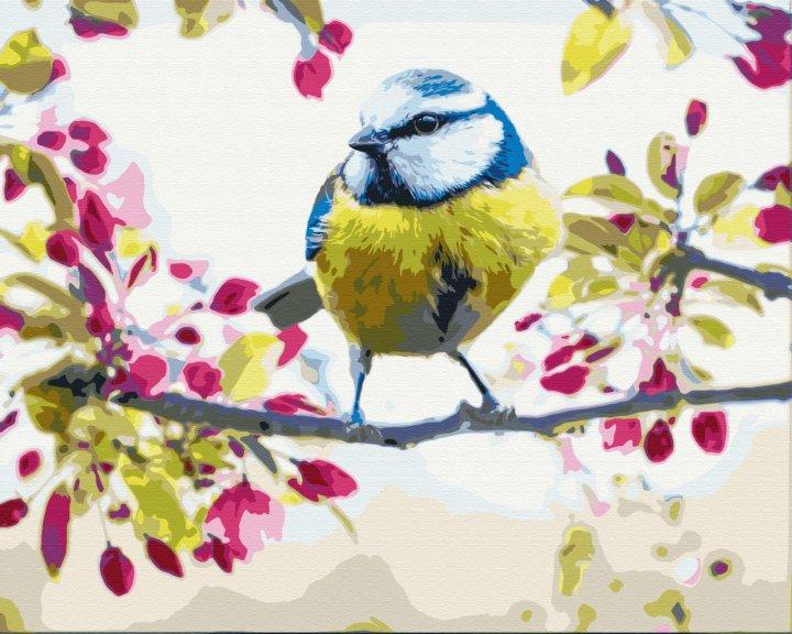 

Картина по номерам BrushMe BS51439 40*50 cм Весенняя синичка