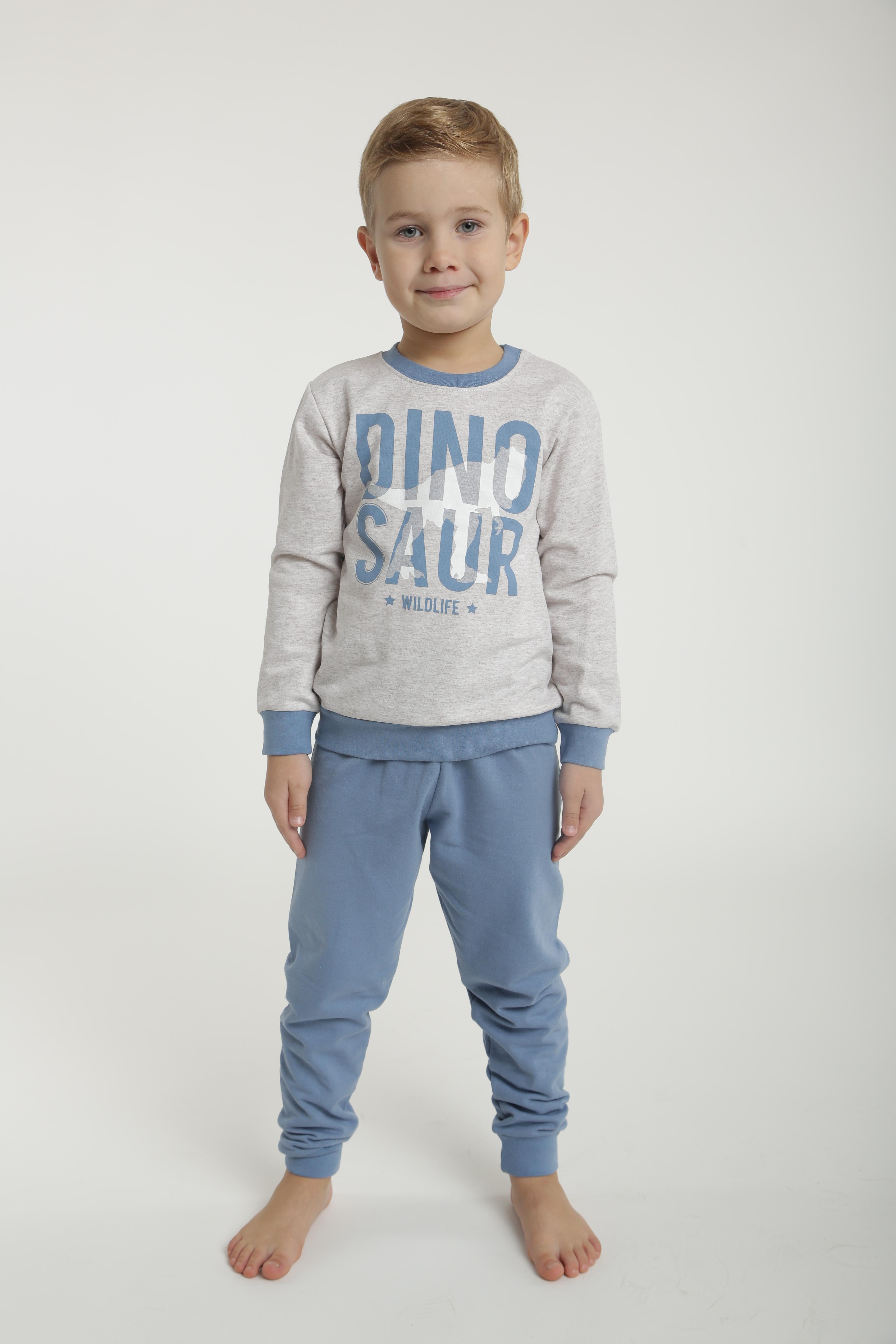 

Пижама Кена Dinosaur Серо-голубая (207843-П1902) 146 см