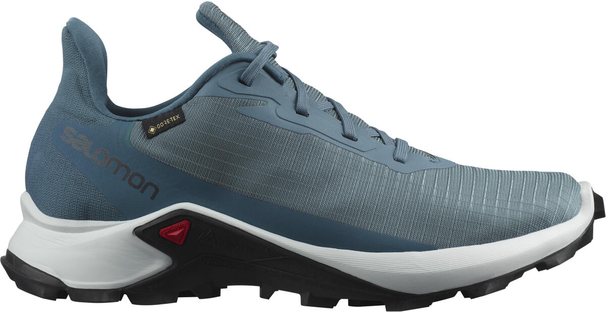 

Кроссовки SALOMON ALPHACROSS 3 GTX W 39 (6UK) 25см синий s414475-6