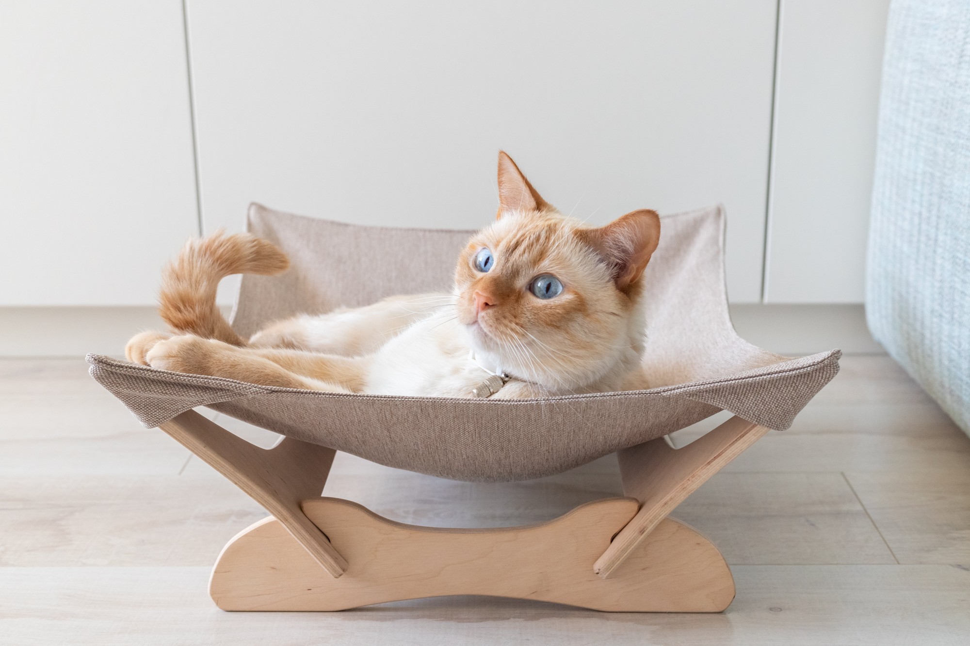 Лежак для кошек Кексик от Pidan