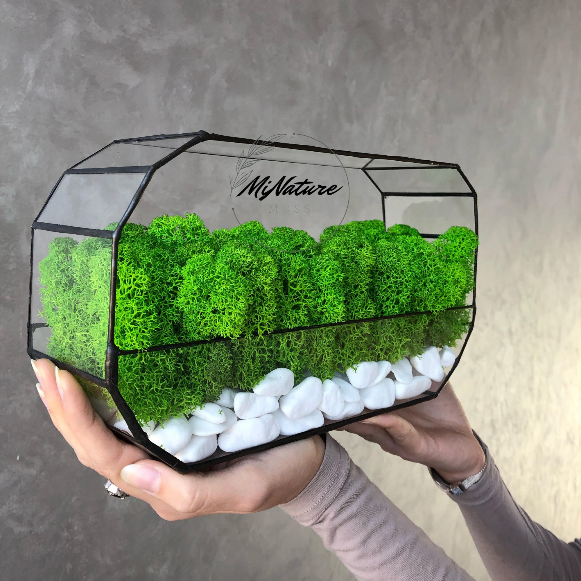 

Моссариум MiNature Moss со стабилизированным мхом ягель норвежский