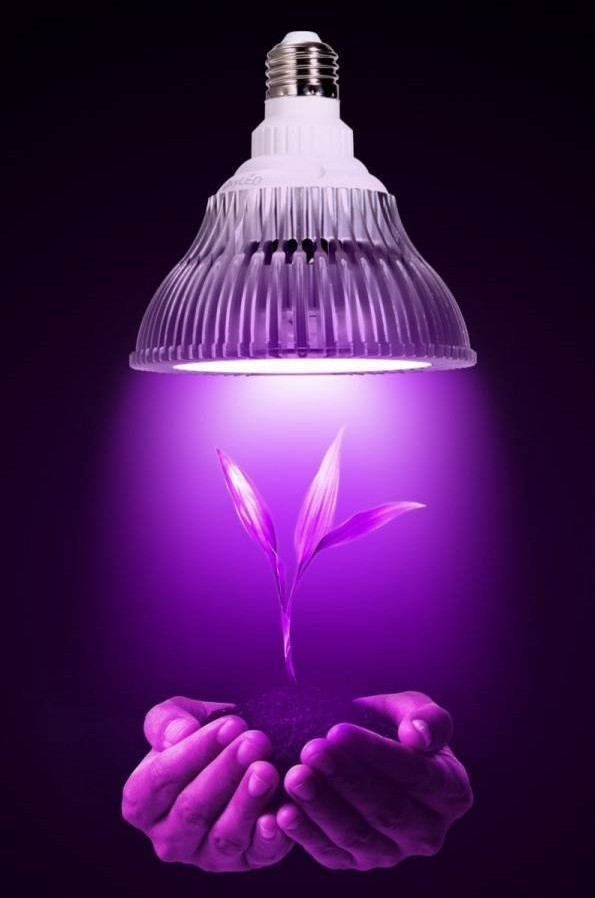

Фитолампа для растений светодиодная флора 16W E27 Ledmax