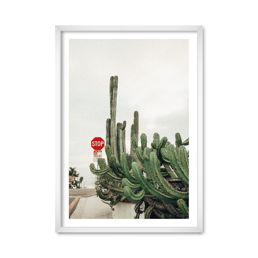 

Постер "Cactus" с антибликовым стеклом 42 x 59.4 см в белой рамке
