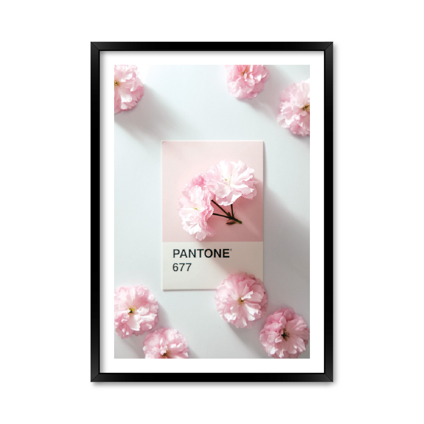 

Постер "Pantone 677" без стекла 59.6 x 84 см в чёрной рамке