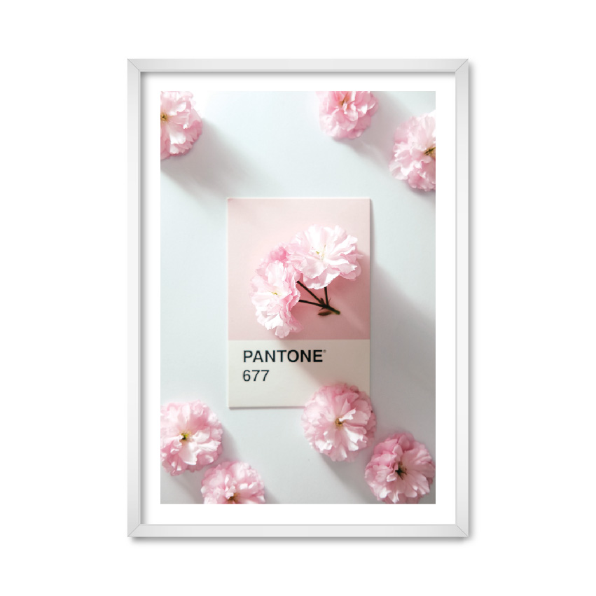 

Постер "Pantone 677" с антибликовым стеклом 59.6 x 84 см в белой рамке