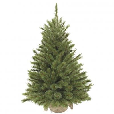 

Искусственная сосна Triumph Tree Forest Frosted зеленая 0,9 м (8717669551881)
