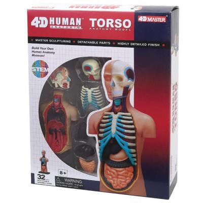 

Пазл 4D Master Объемная анатомическая модель Торс человека (FM-626003)