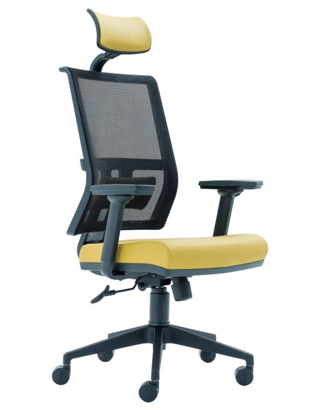 

Кресло для руководителя Cute - Plastic legs Executive (CTE10/EXECUTIVE)