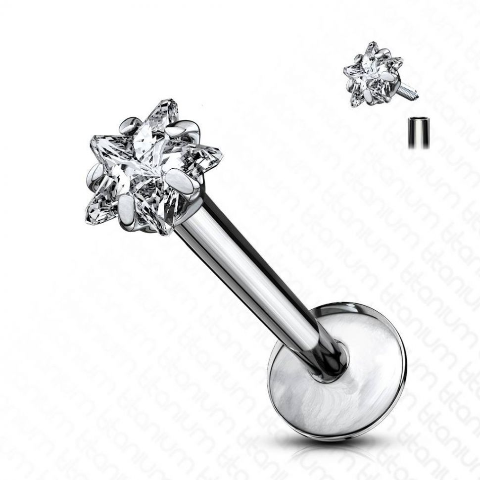 

Лабрет из титана PiercedFish T23LI5 с фианитом в форме звездочки (8 мм)