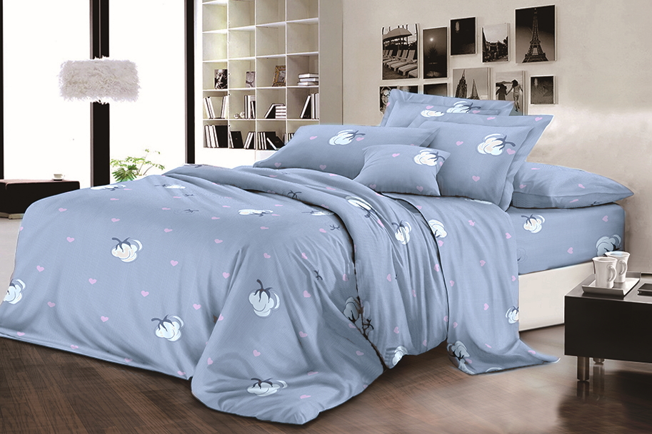 

Простынь MirSon Бязь Premium 17-0119 Anacleto 220х240 см
