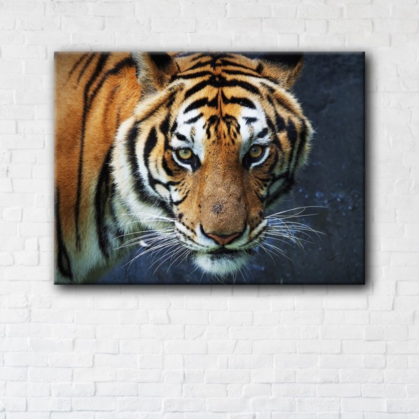 

Картина на холсте прямоугольная I-Art Tiger 110x145см