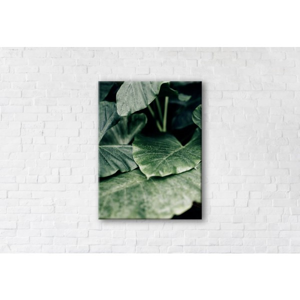 

Картина на холсте прямоугольная I-Art Freshness 50x65см