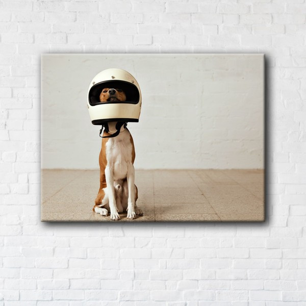 

Картина на холсте прямоугольная I-Art Dog astronaut 110x145см