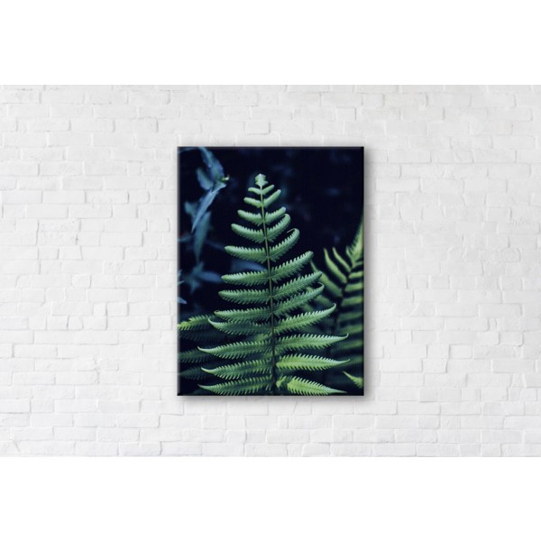 

Картина на холсте прямоугольная I-Art Bracken Fern 110x145см