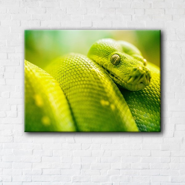 

Картина на холсте прямоугольная I-Art Green Snake 110x145см