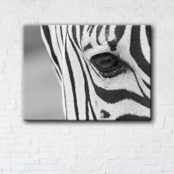 

Картина на холсте прямоугольная I-Art Zebra 45x60см
